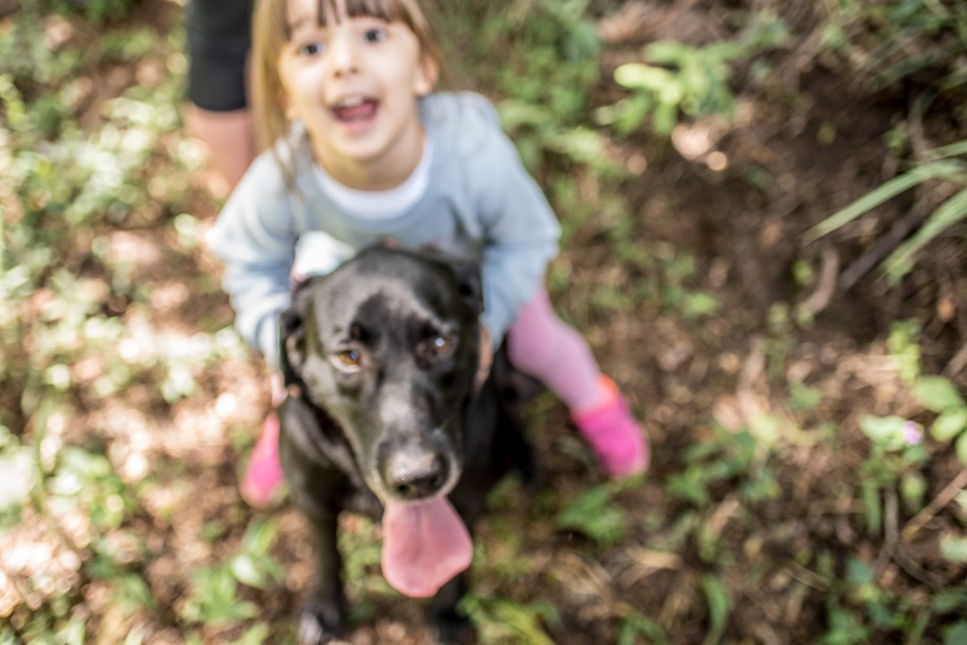 Menina abraçada ao cachorro, foto ligeiramente tremida mas cheia de vida
